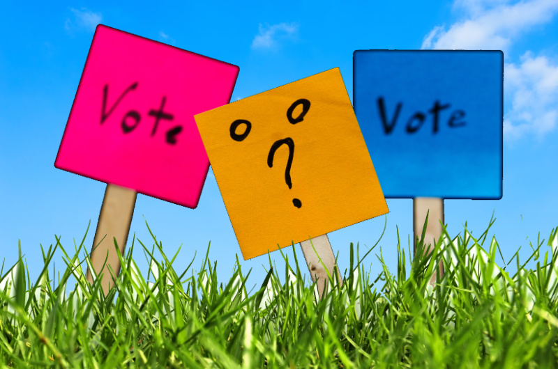 3 signs in green grass against a blue sky. The signs read "Vote" and are pink, yellow and blue.